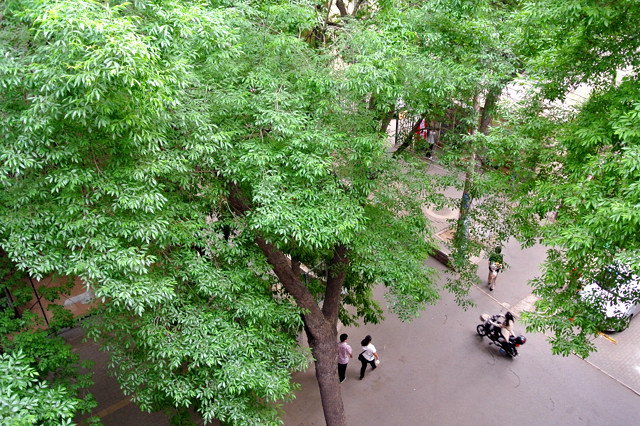 初夏の北京 団結湖の住宅街